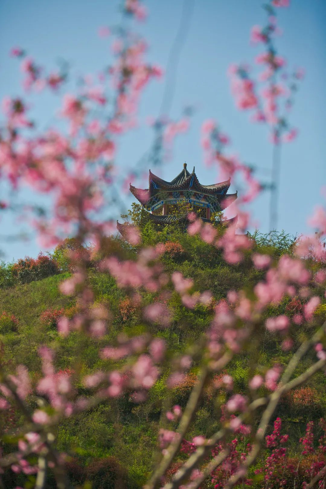 湖北医药学院有单招吗,湖北医药学院报名需要什么