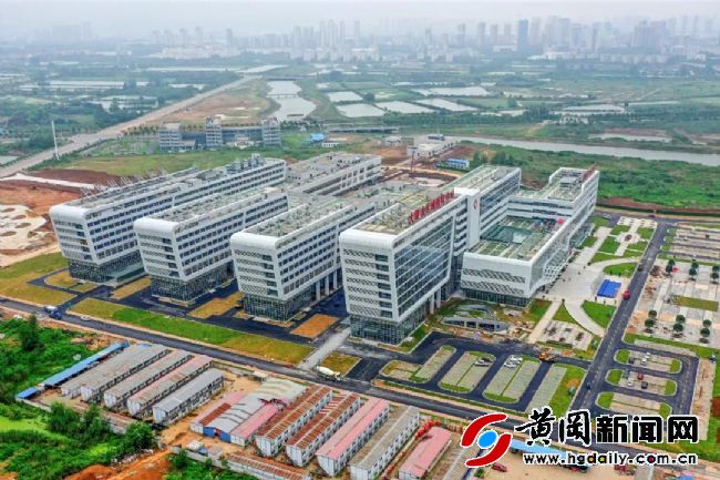 大别山区域医疗中心附近的规划,大别山区域医疗中心