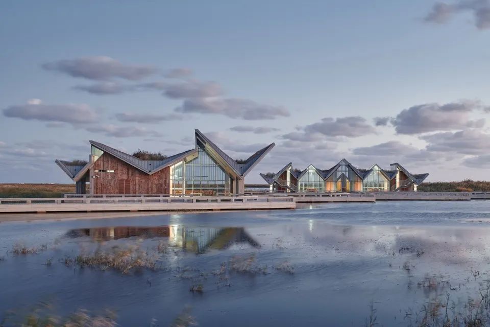 探索崇明东滩湿地公园的奥秘,崇明东滩湿地科研中心