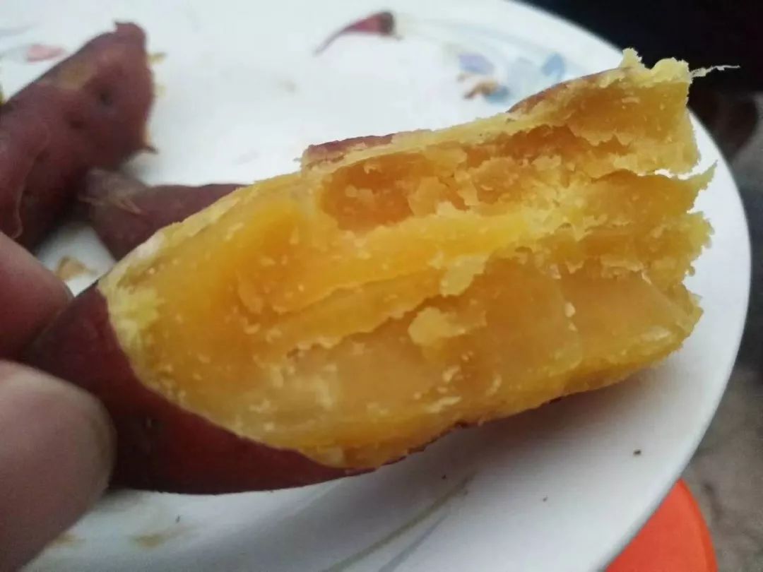 临安天目山小香薯粉糯香甜,天目山小香薯新鲜现挖