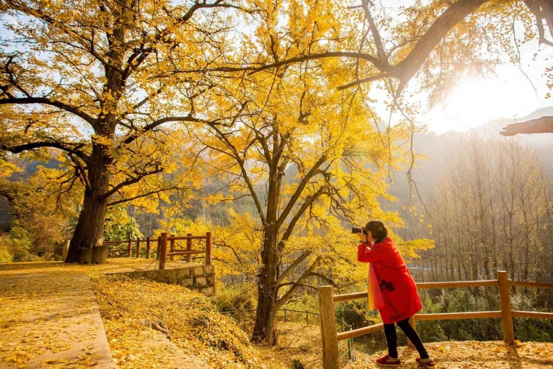 洛阳打卡攻略,洛阳打卡必去的十大景点