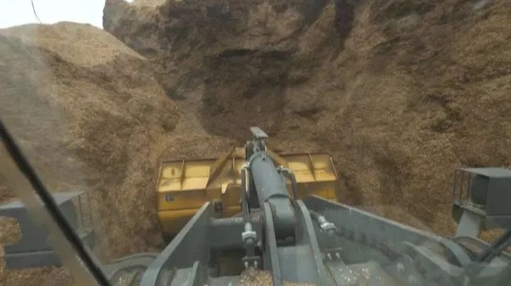 行与不行的感悟,行与不行之间意味着什么