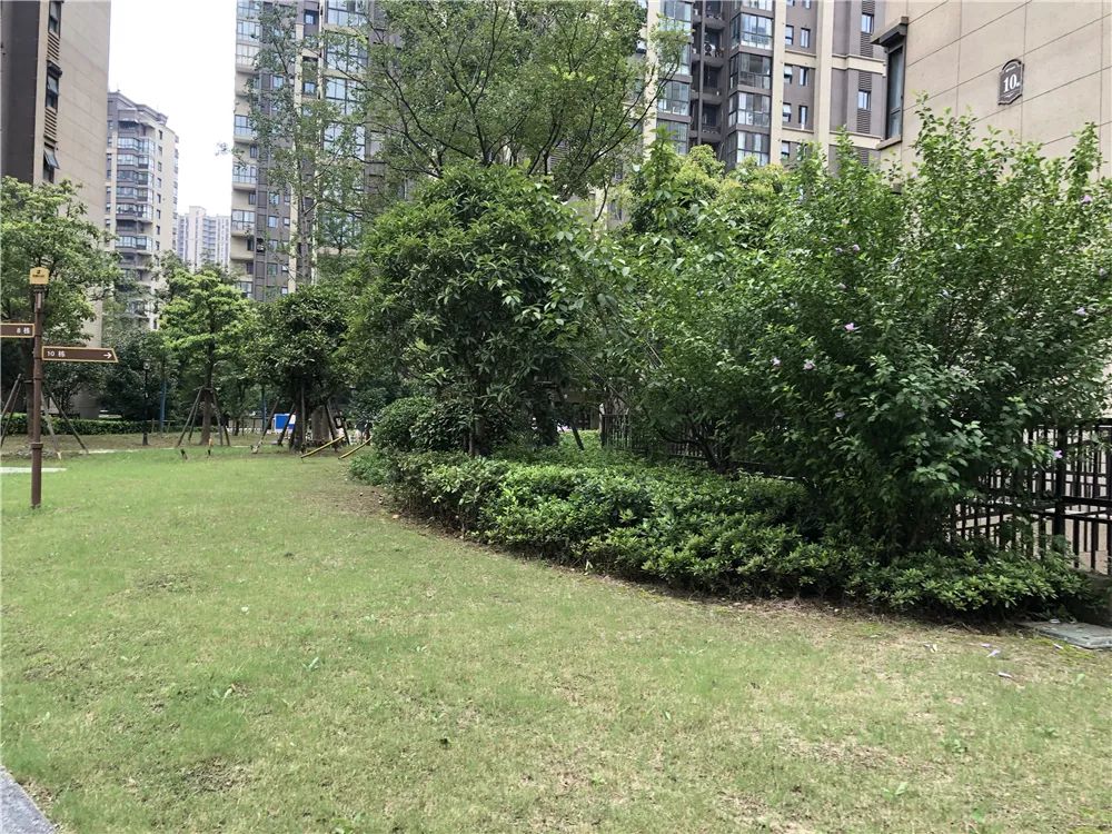 南京房价最高的是哪个小区在售,南京十年内房价涨了三倍的楼盘