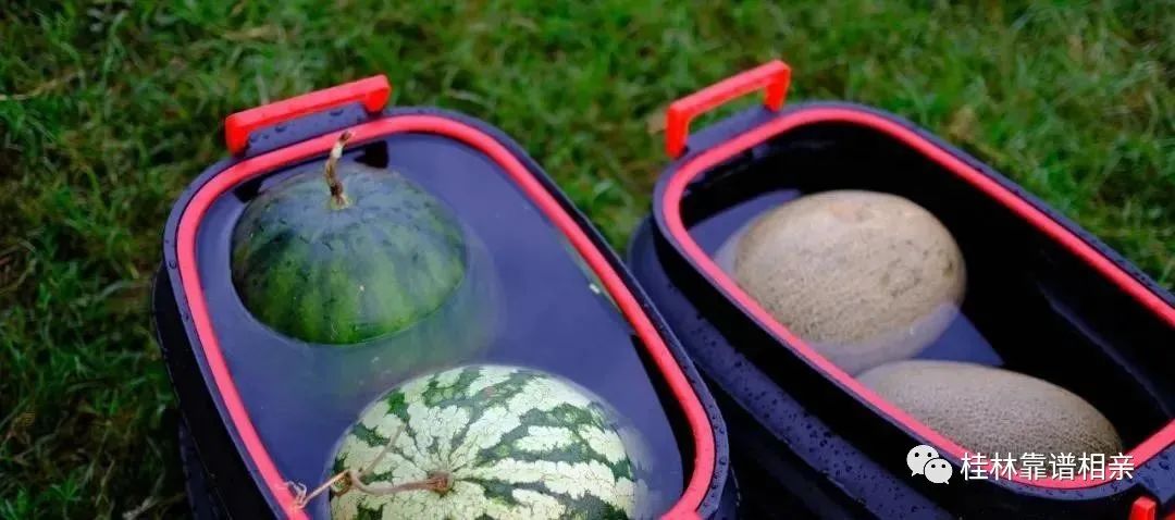 全是帅哥美女!周日,漓江边的这场浪漫单身Party怕是要火,快报名