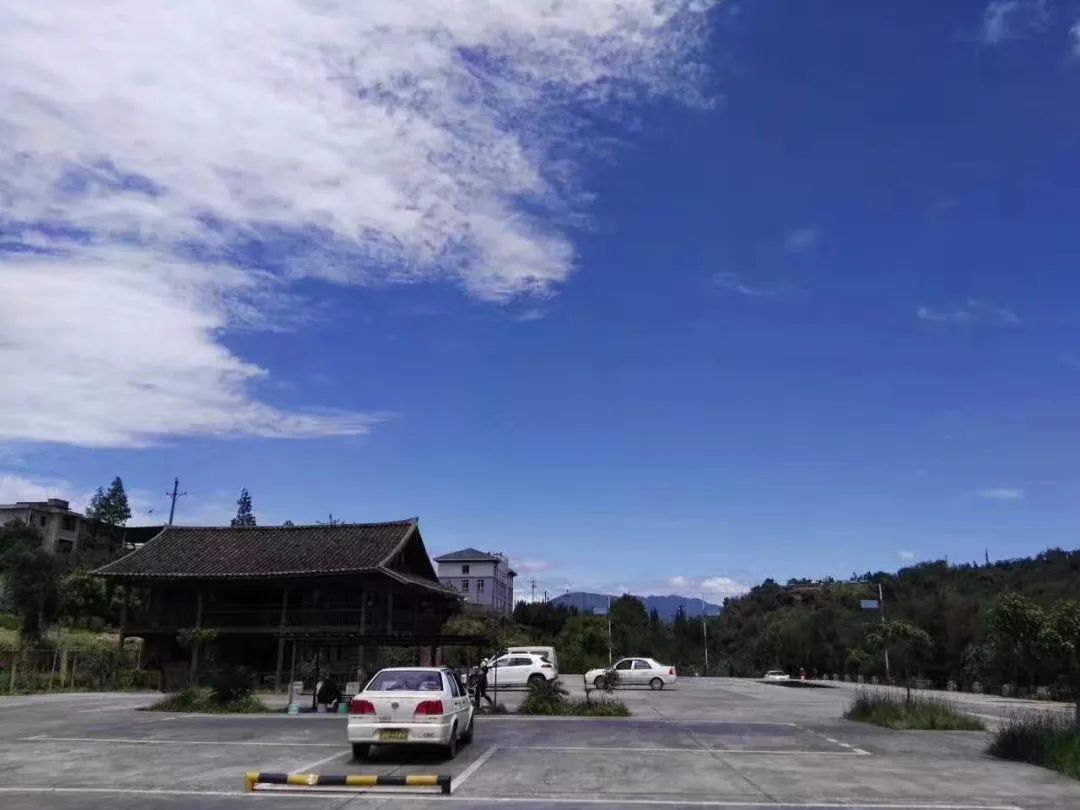 雨城驾校学习实操地址,雨城驾校科一
