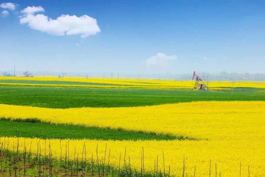 《诗歌月刊》头条诗人|汗漫：给苏东坡的一封信