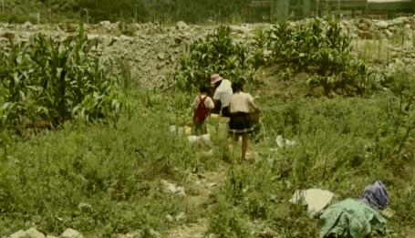 女子骗走闺蜜3千万,女子骗闺蜜几十万连房产都不放过