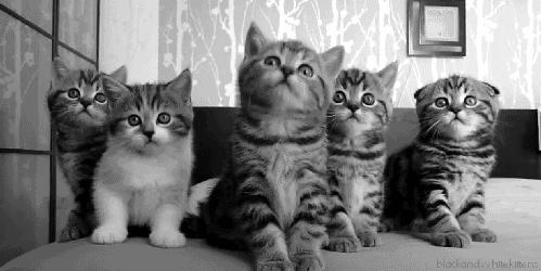 礼物已经选好,礼物已经买好等下次见面