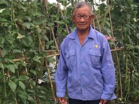 金山好人榜最新消息,金山好人榜