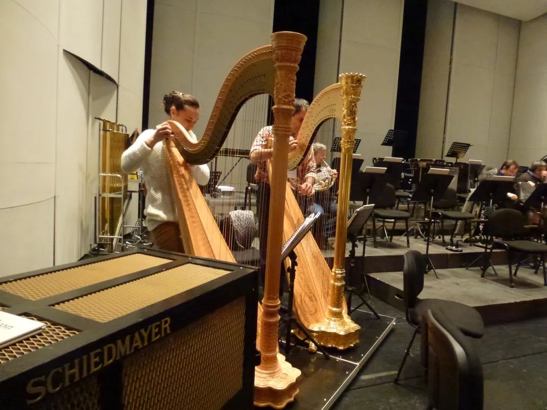 乐器怎么运输,乐器托运怎么才能不被损坏