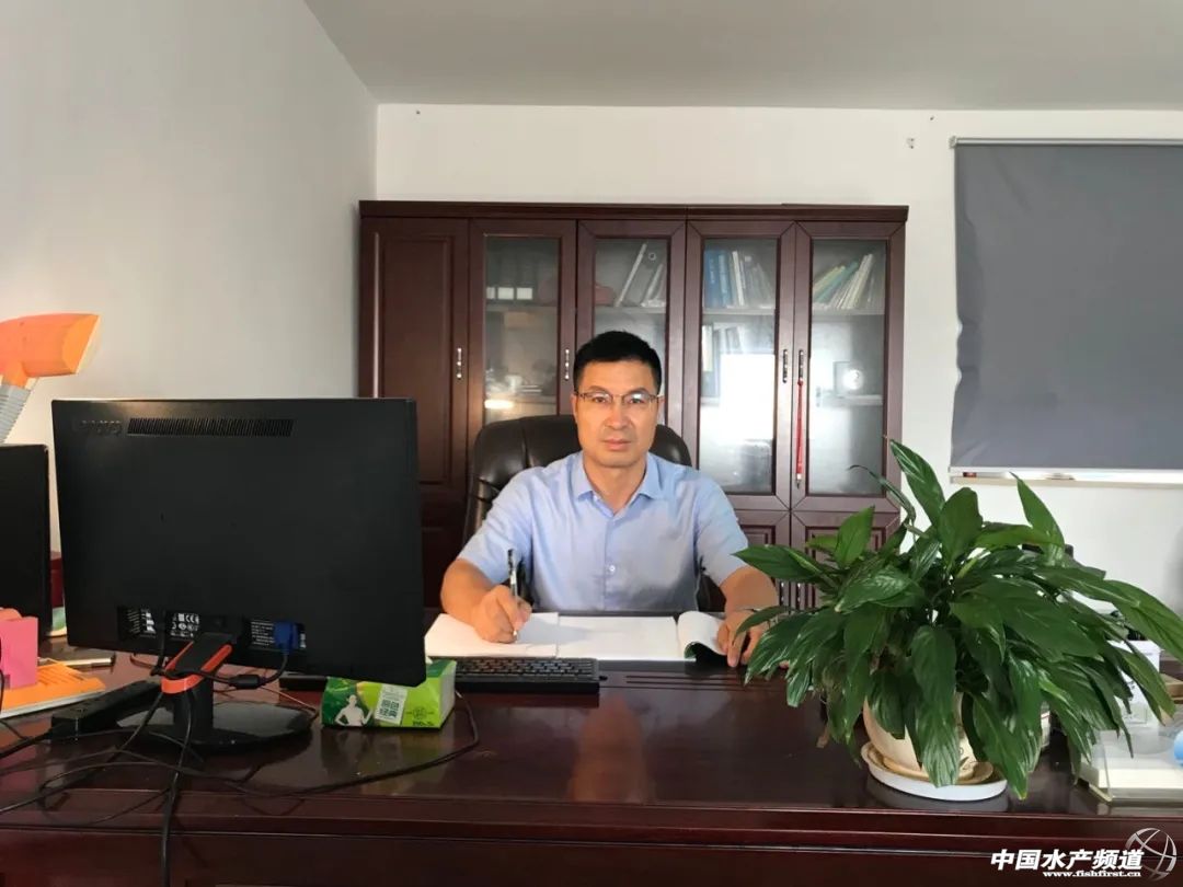 加州鲈养殖潜力,加州鲈苗成活率高吗