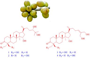 云南咖啡品质如何,云南咖啡味道独特的原因