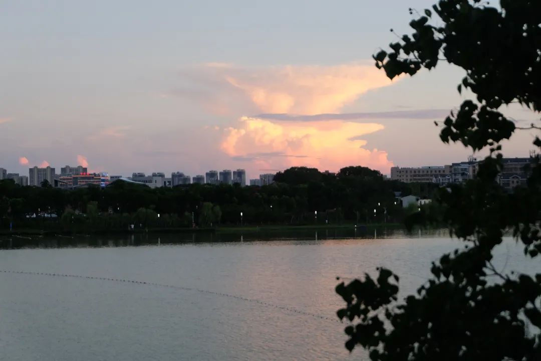 缇庡憜鑻辨枃,缇庡憜