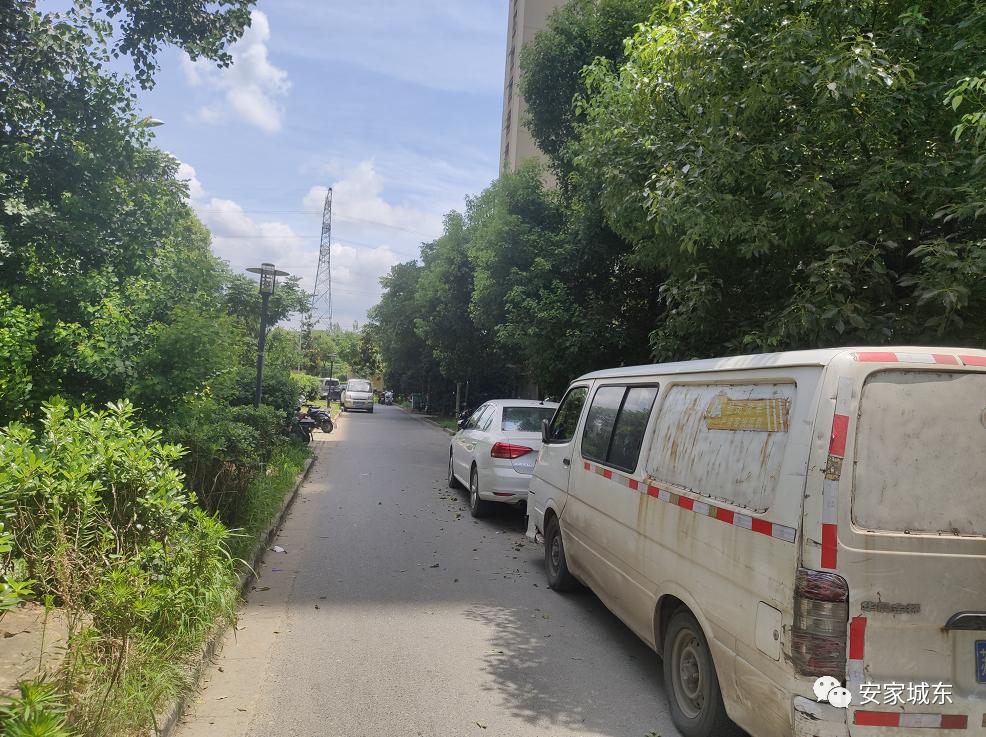 小区堵车物业处理不了,小区内经常堵车怎么投诉物业