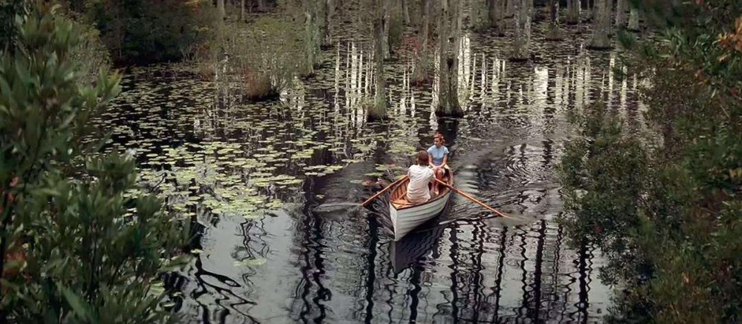 豆瓣评分8.0以上爱情剧,豆瓣评分8.8爱情