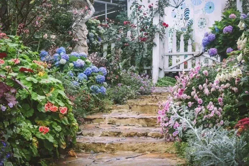 成都景点60岁以上免费门票,成都免费游玩景点推荐