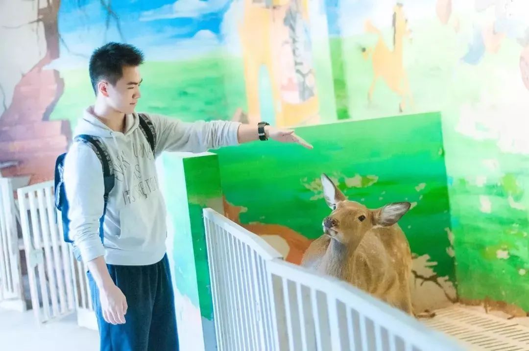 成都免费游玩景点推荐,成都景点免费门票一览表