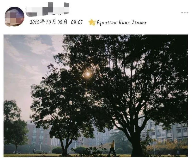 在华师可以学什么,在华东师大读书的体验