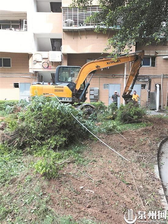 泉州老旧小区改造迎新契机,泉州老旧小区加装电梯