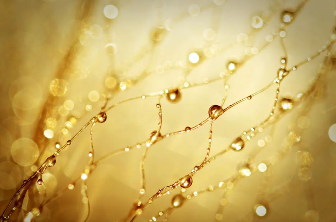 21天冲刺测评,21天报告