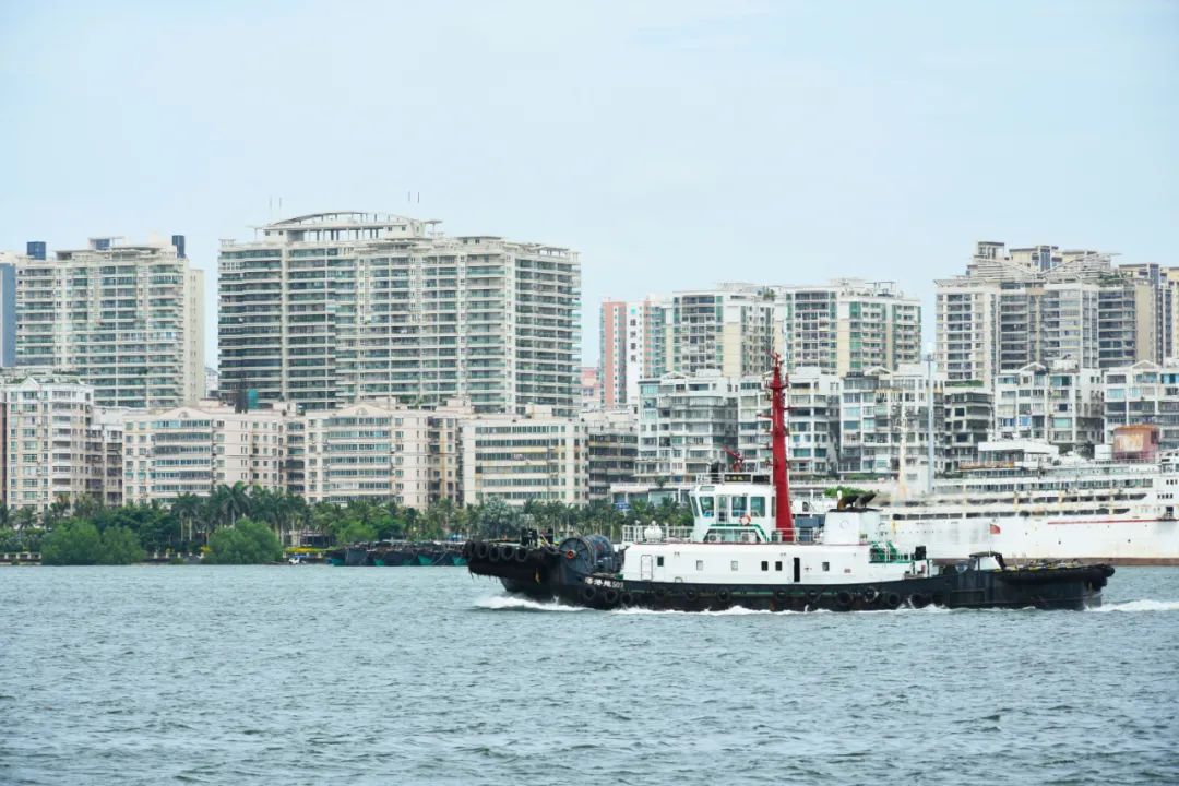 湛江开渔节美食,湛江开渔节现场视频