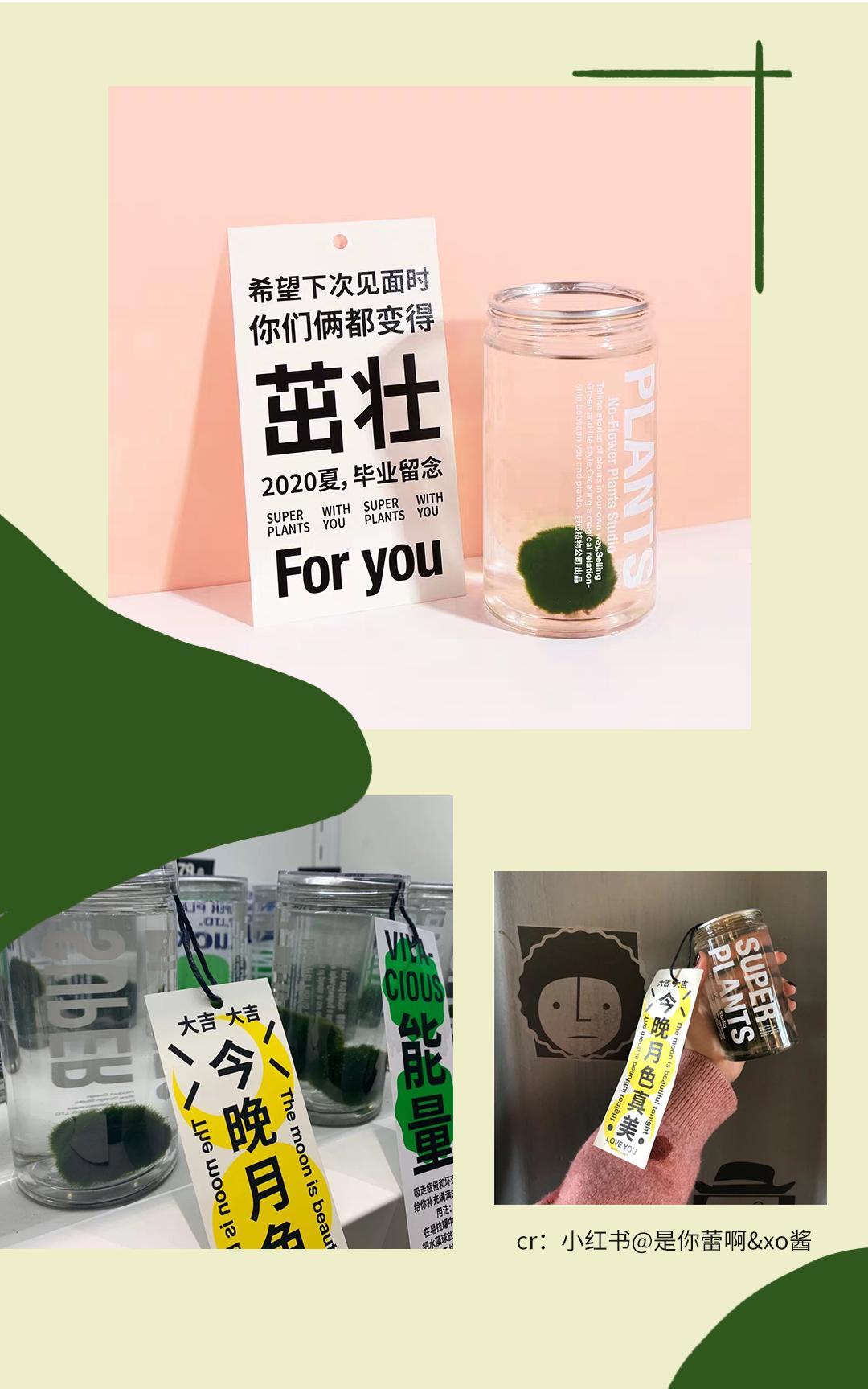 淘宝收藏过的店铺,淘宝以前收藏的店铺