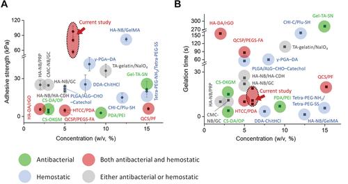 寰愬嘲瑗垮畨浜ゅぇ,瑗垮畨浜ゅぇ寰愬嘲鏁欐巿