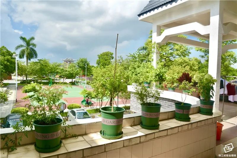 开门见假山鱼池,开门见室内花园