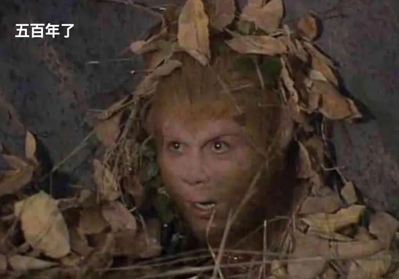 神兽是羊驼吗,羊驼神兽的来历