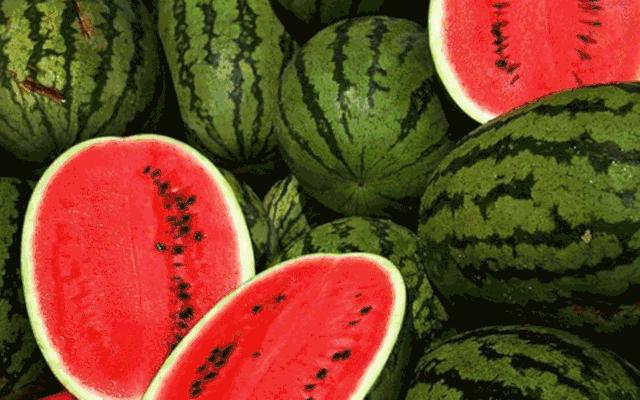 中国人嗑瓜子简史,中国人嗑瓜子教程