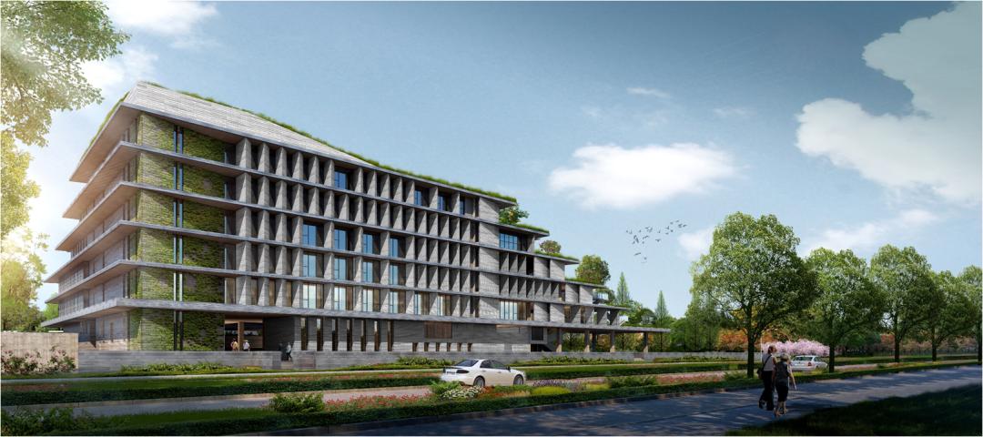 梯田景观推介,梯田高楼