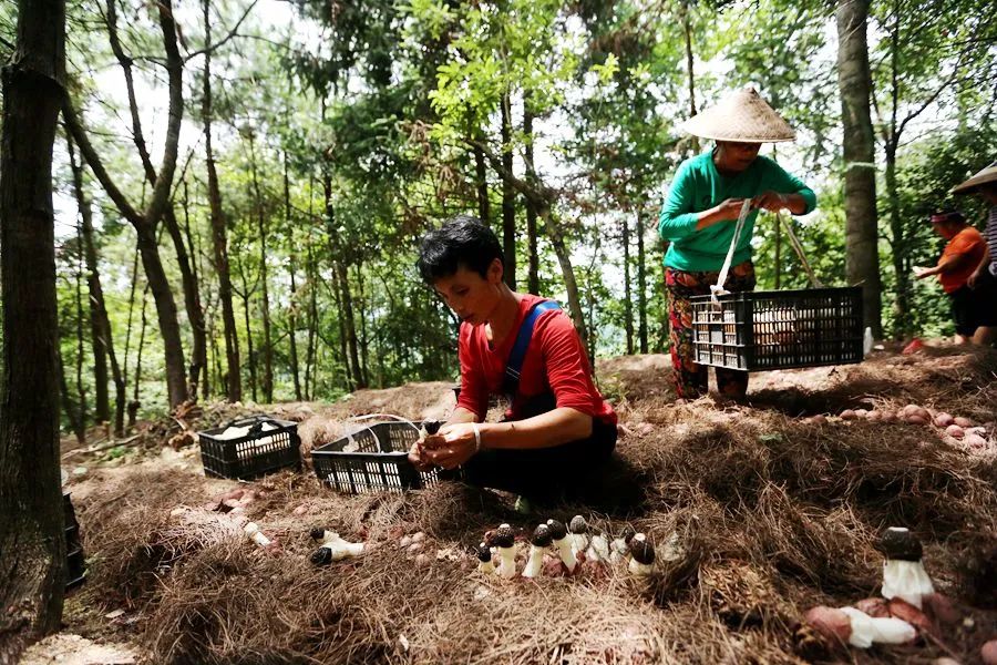 璐靛窞鍓戞渤鑻楀棣欑尓绉戞妧鏈夐檺鍏徃,璐靛窞榛斾笢鍗楀墤娌抽鐢ㄨ弻绉嶆鍩哄湴