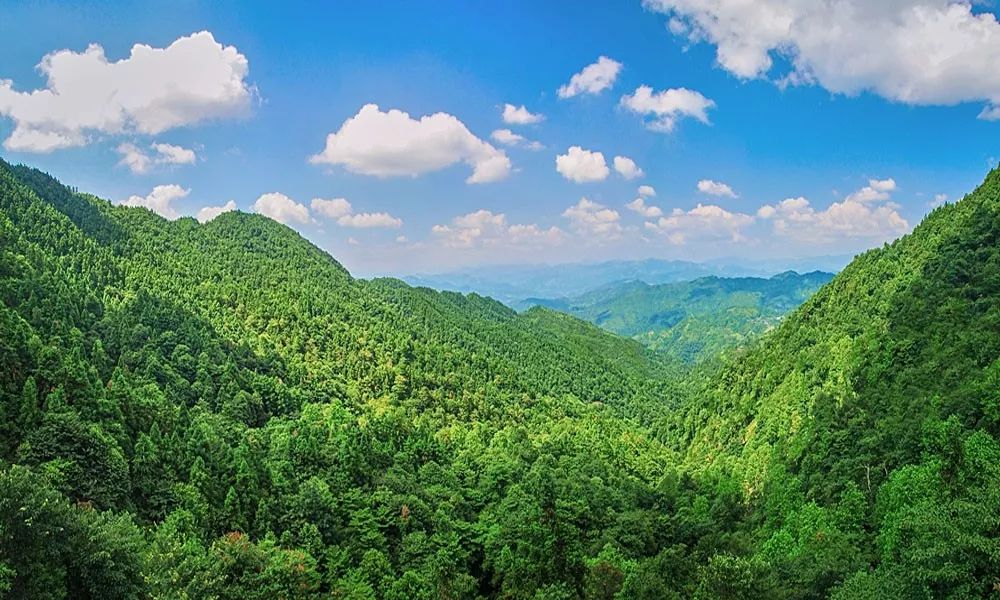 双城记⑧|开放前沿生态之州，一衣带水，无限深情