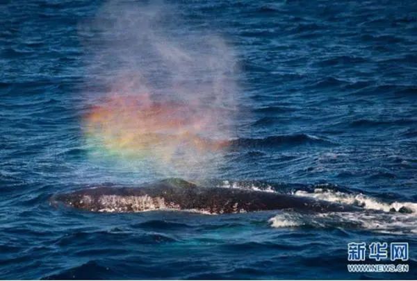 科普视频海市蜃楼,海市蜃楼科普