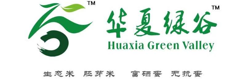 儿童近视配镜延缓度数增长,儿童500多度的近视怎么配镜