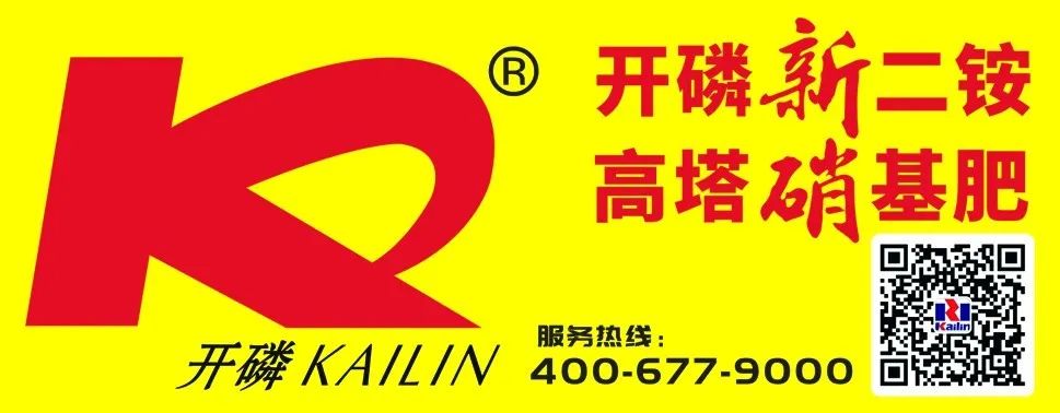 百佳行动|倍丰集团：农服先锋队，保供显担当