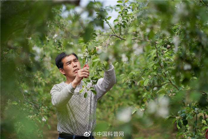 5天行走燕赵，20家媒体记者这样讲述河北小康故事