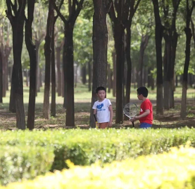 漫游新城|文化荟萃,景色怡人,在这里尽享公园慢时光