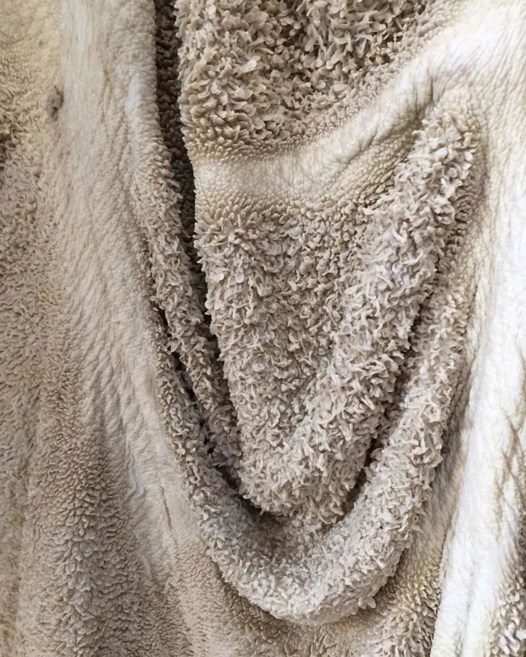 黑科技可拍照,黑科技拍照真实图片