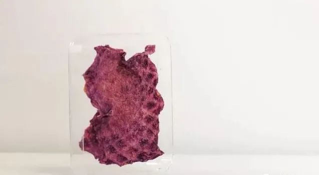 黑科技可拍照,黑科技拍照真实图片