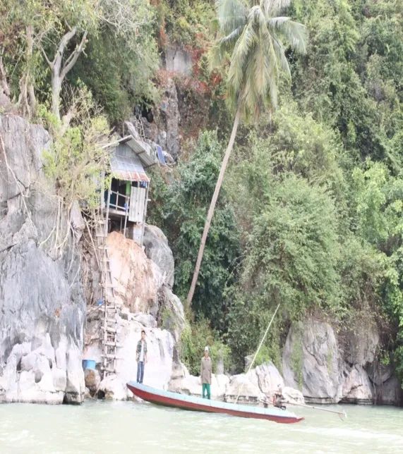 进口燕窝是否属于农产品案例,进口燕窝税费