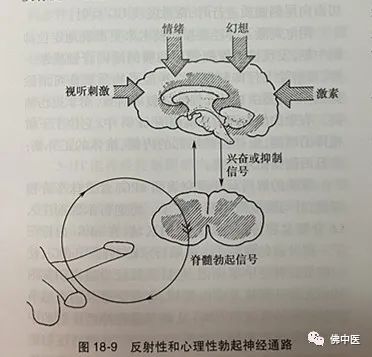 【七夕】佛中医新上线“男神”检查，解决你的“男”言之隐