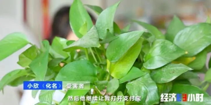 发500返1000?注意了,这种新*局骗**专挑孩子下手