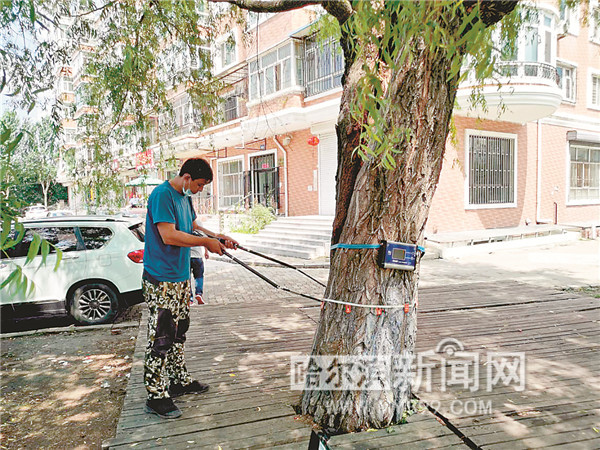 让城市绿化成果更好惠及群众,城市绿化与绿水青山就是金山银山