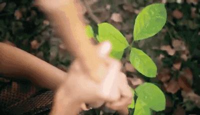 如何快速丰胸且不会反弹,不吃药怎么丰胸