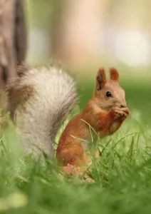 “*窥偷**”网红动物的生活，理解和分享一种离人群最远、离星空最近的喜悦|此刻夜读