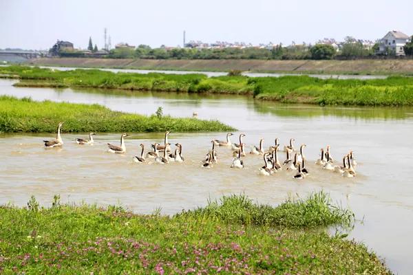 风雅钱塘江景,风雅美景图片高清