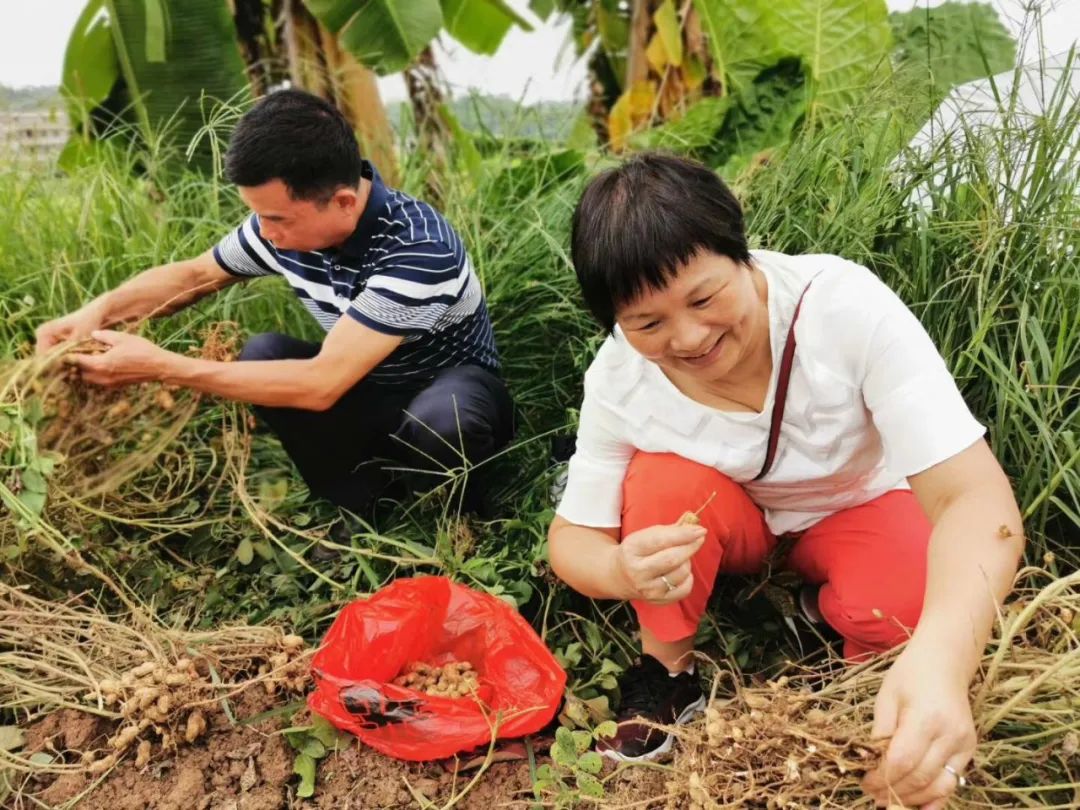 硬核带货主播,硬核带货第一人