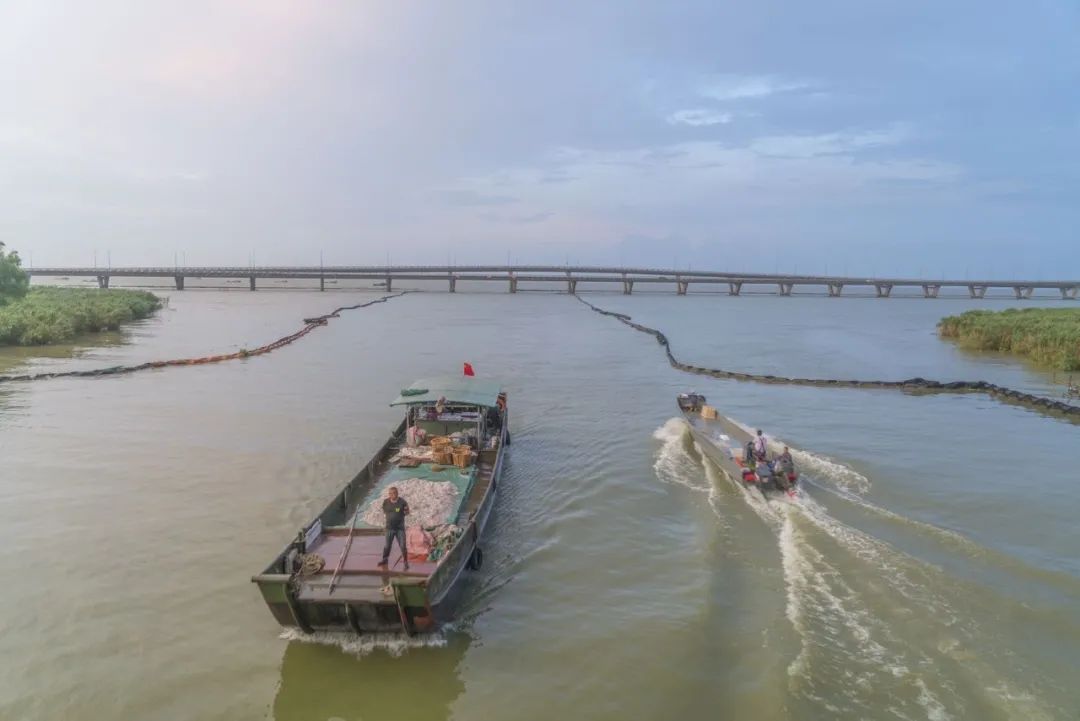 湖州7名学生被民警表彰,湖州团体奖励标准表