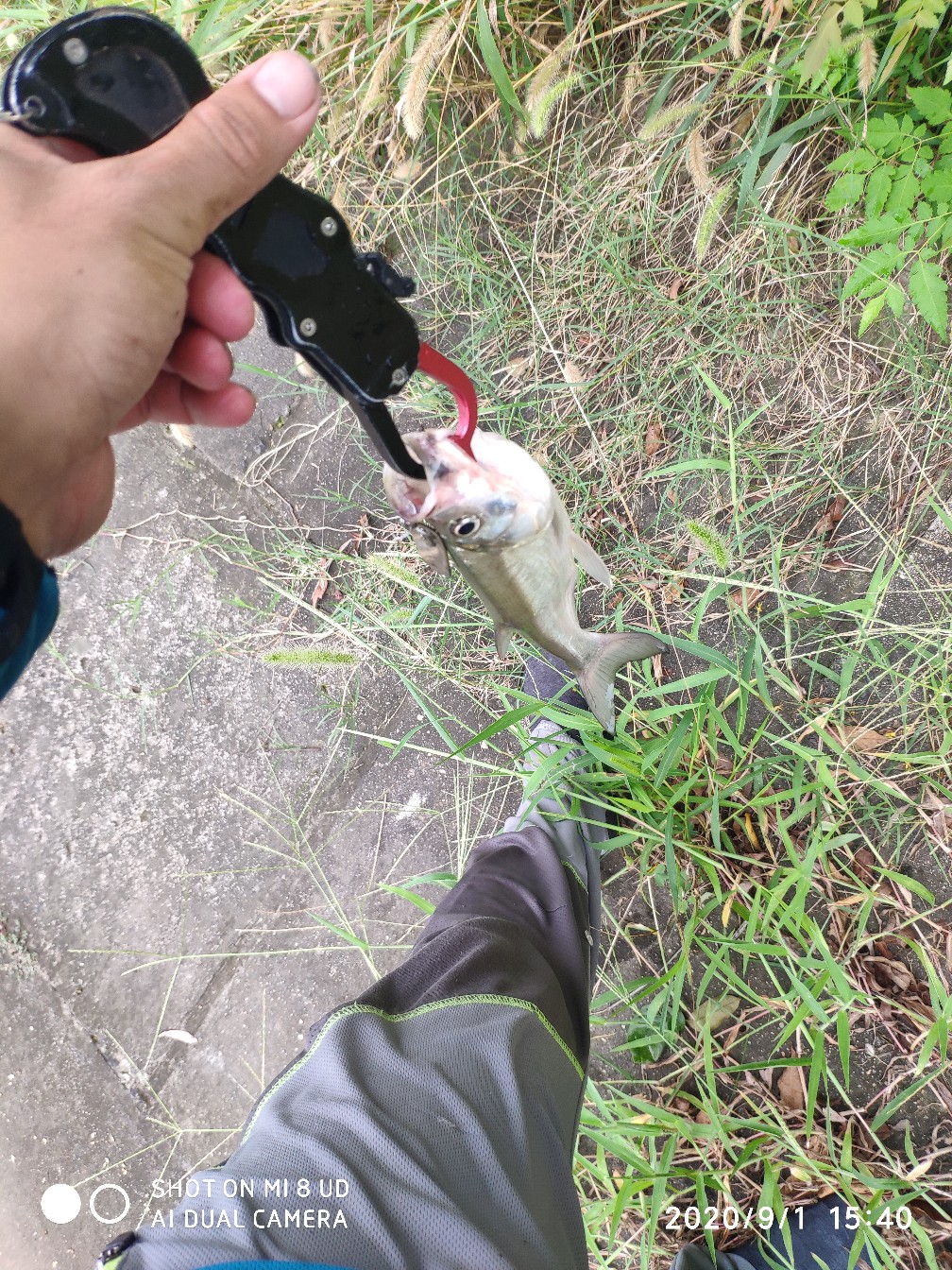 路亚铅头钩实用操作手法,路亚铅头钩零基础教学